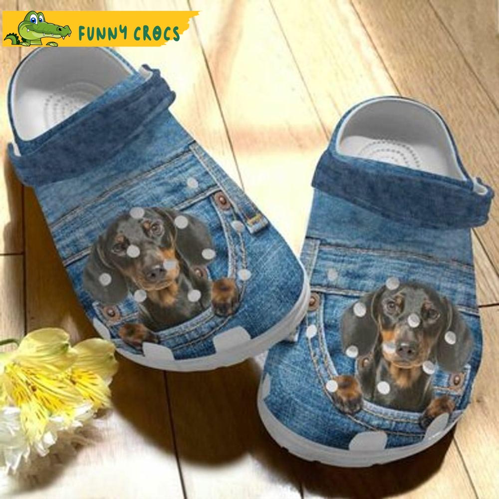 Dachshund Puppy In Jeans Dog Crocs