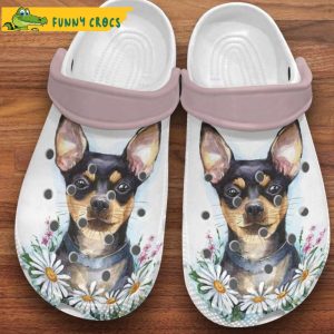 Chihuahua Daisy Gardens Dog Crocs