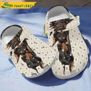 Doberman Dogs Face Crocs