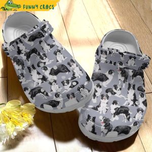 Border Collie Pattern Dog Crocs