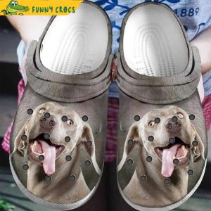 Personalized Weimaraner Crocs