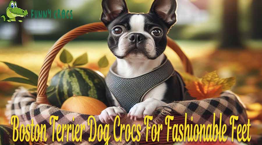 Boston Terrier Dog Crocs For Fashionable Feet